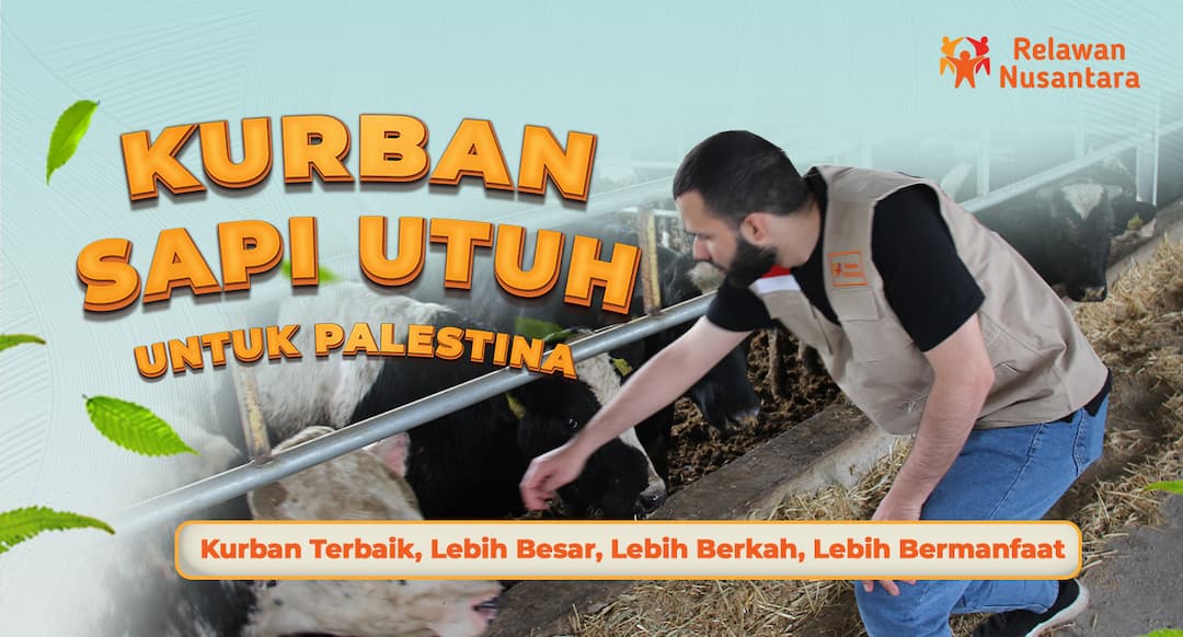 Kurban Sapi Utuh untuk Palestina