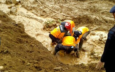 Berita Terkini: Relawan Peduli Lingkungan Bersatu untuk Menjaga Kelestarian Hutan