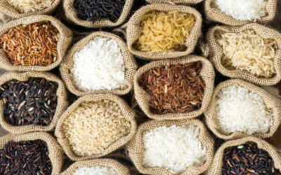 Pangan: Kebutuhan Dasar untuk Hidup yang Bermartabat