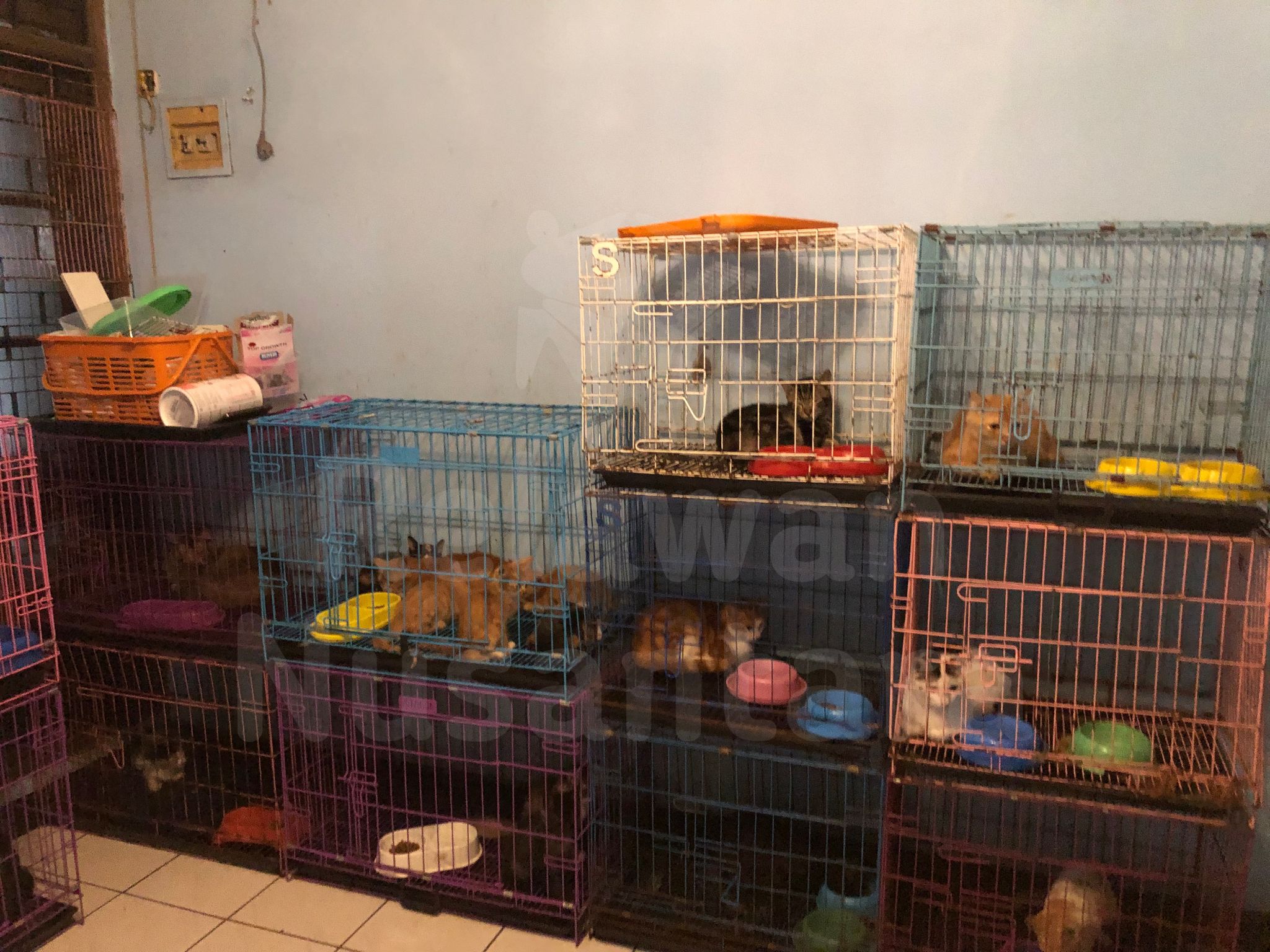 Desain tanpa judul