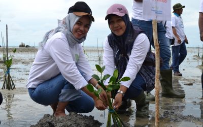 Menyemai Harapan di Pesisir Tanjung Rusa: Relawan Nusantara Bersama Pelindo Hadirkan Kampung Hijau