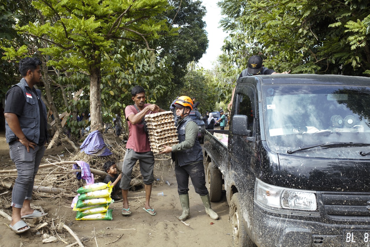 WhatsApp Image 2025-12-11 at 14.33.33_7fb93352