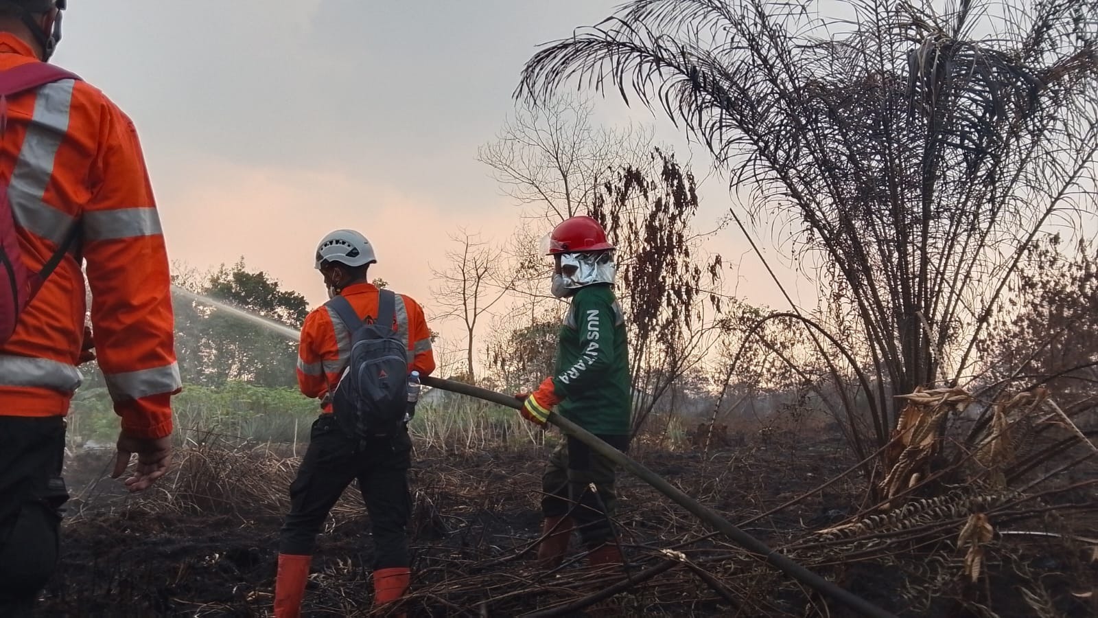 Karhutla Kalimantan; Relawan tengah memadamkan api Relawan Nusantara menggunakan selang air sedang memadamkan kebakaran hutan dan lahan (karhutla) di Kalimantan.