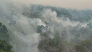Foto dari udara memperlihatkan asap pekat membumbung tinggi dari kebakaran lahan di kawasan Hutan Kalimantan.