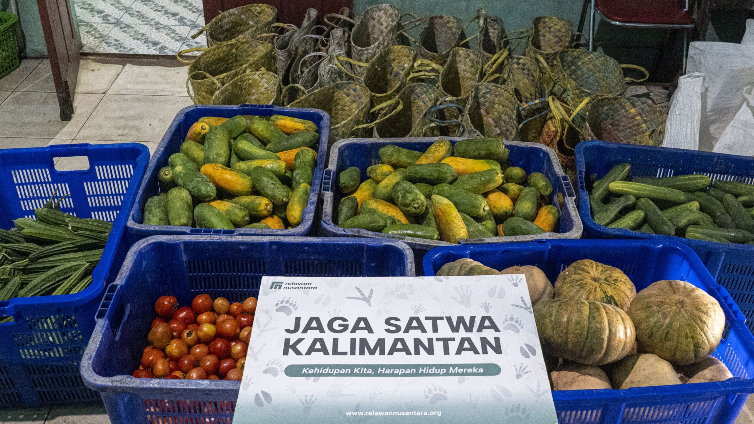 Keranjang stok bantuan pakan buah segar dari Relawan Nusantara untuk program rehabilitasi orangutan Kalimantan di YIARI.