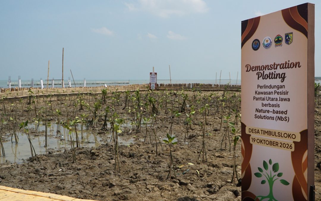 Tanam 10.000 Bibit Mangrove, PT Pelni Upayakan Pemulihan Pesisir Demak Melalui Planting the Future